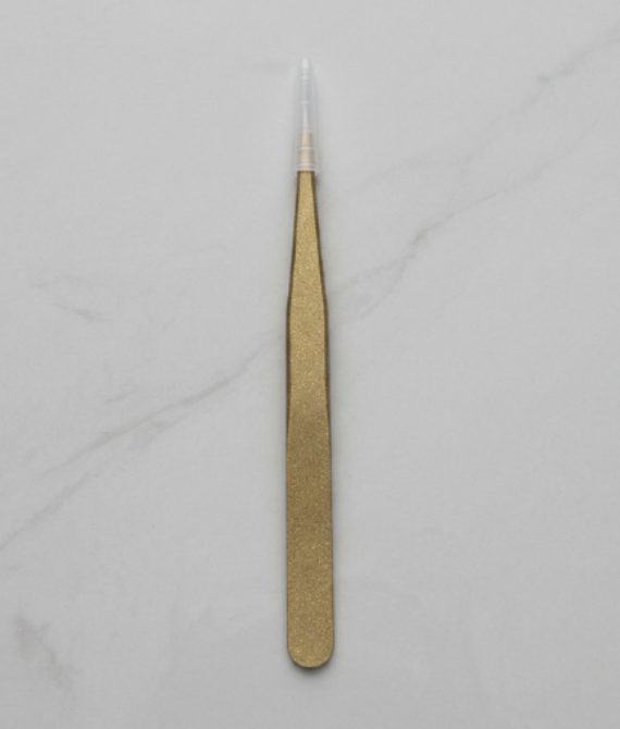 PINZA ZOLA RECTA