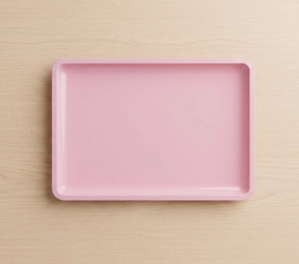 BANDEJA RECTANGULAR - Imagen 2