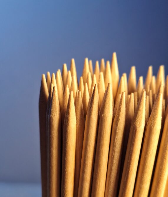PALITOS DE NARANJO